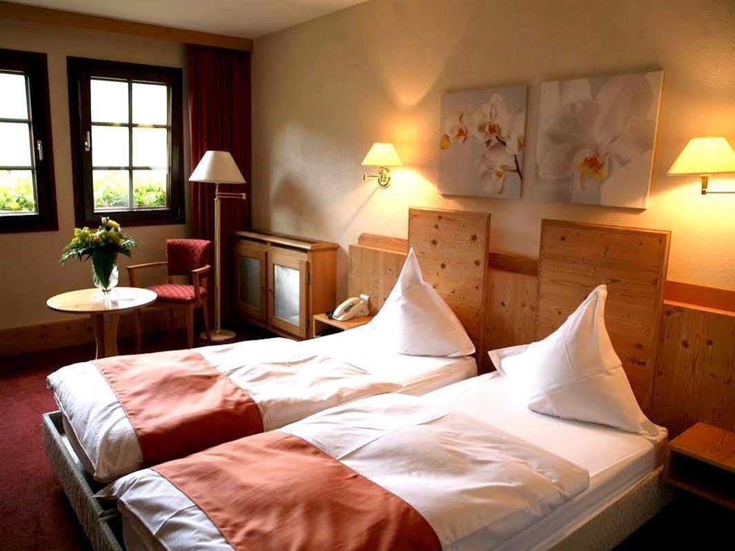 Le Moulin De La Walk Hotel Wissembourg Exterior photo