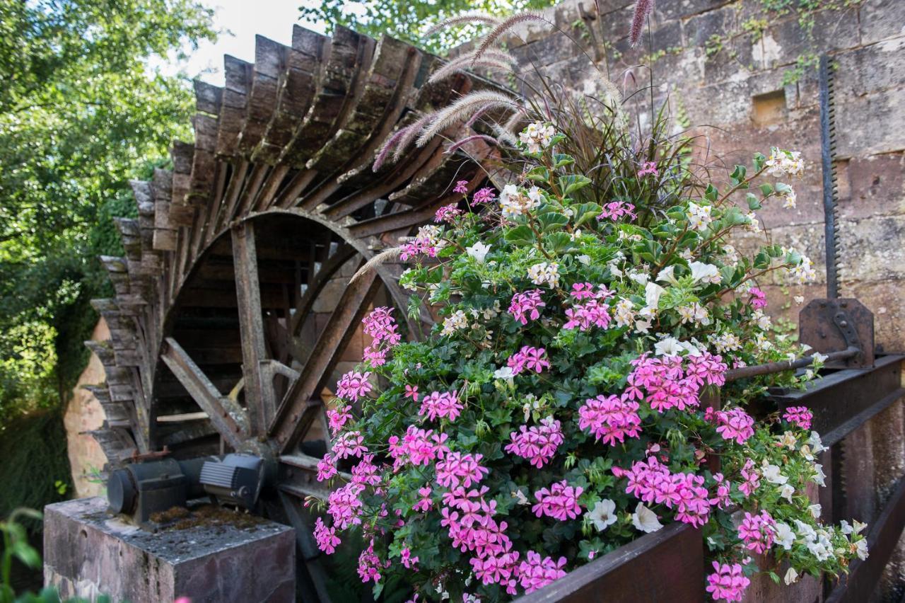 Le Moulin De La Walk Hotel Wissembourg Exterior photo