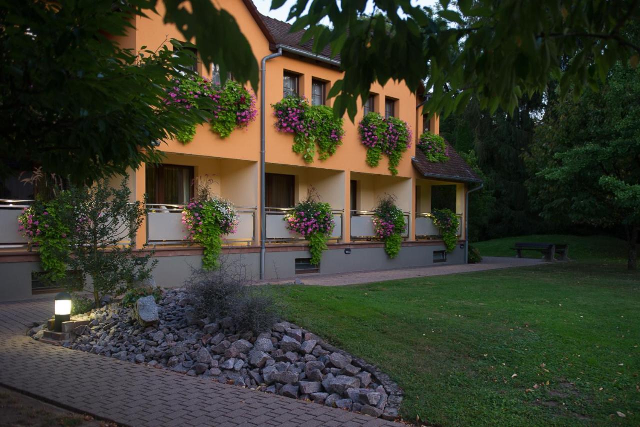 Le Moulin De La Walk Hotel Wissembourg Exterior photo